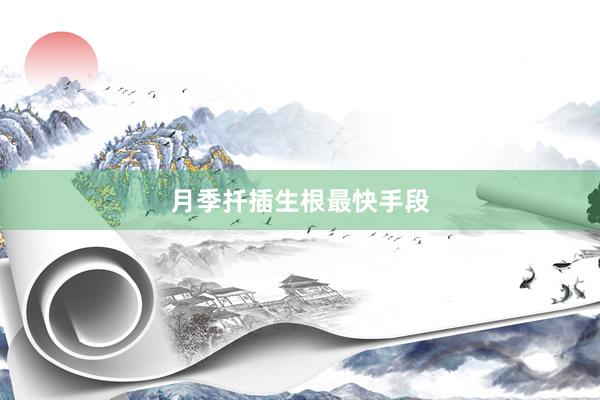 月季扦插生根最快手段