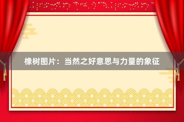 橡树图片：当然之好意思与力量的象征