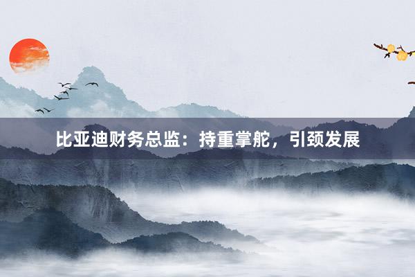 比亚迪财务总监：持重掌舵，引颈发展